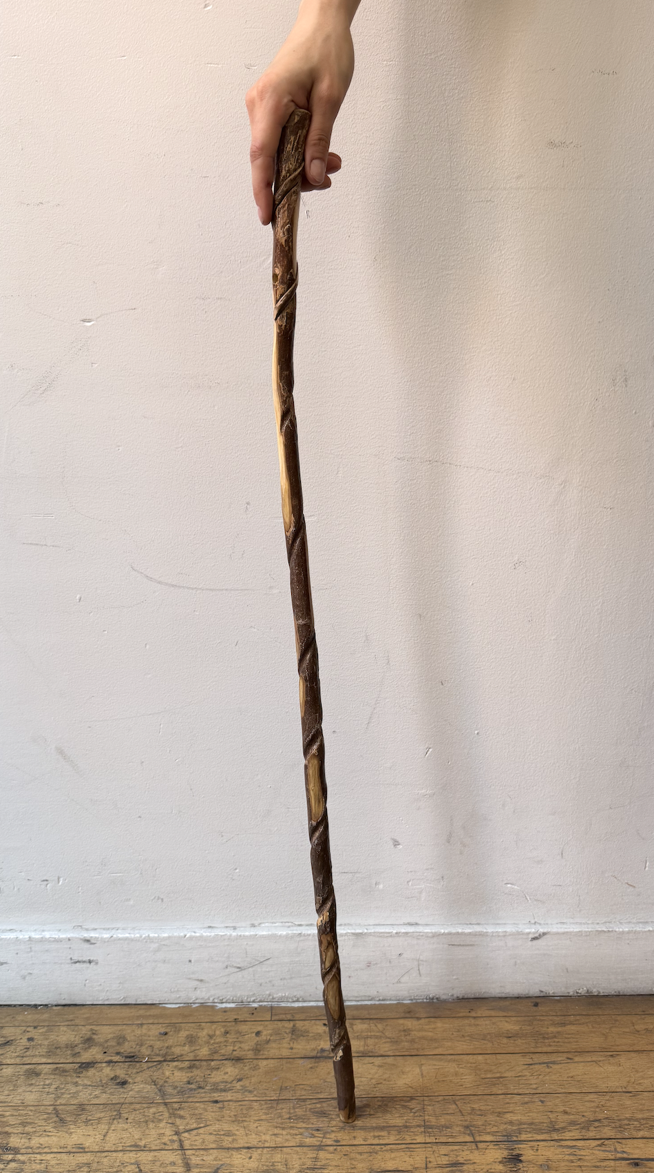 Natural Wood Cane 1