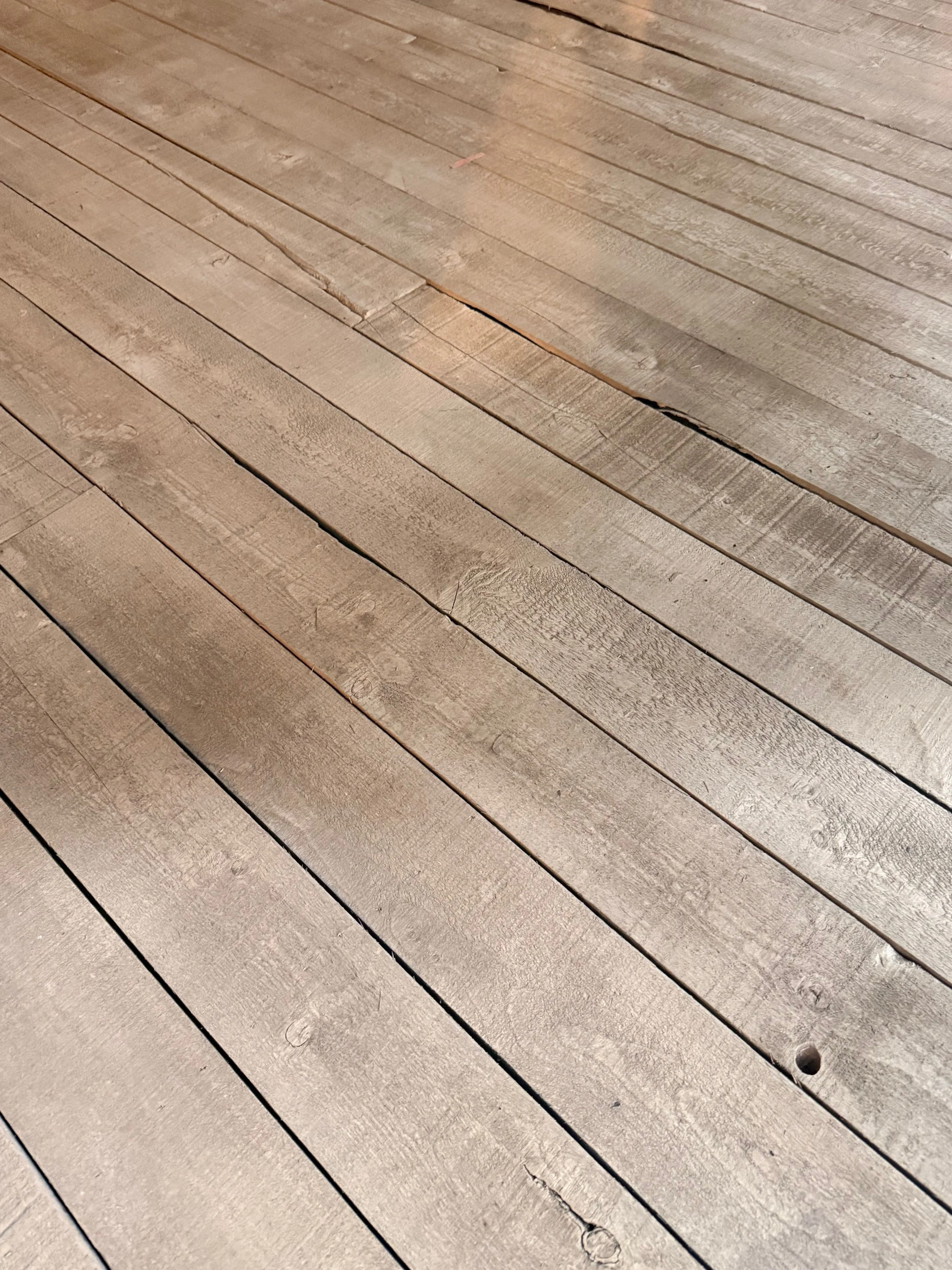 IMG_4583.jpeg (Copy)