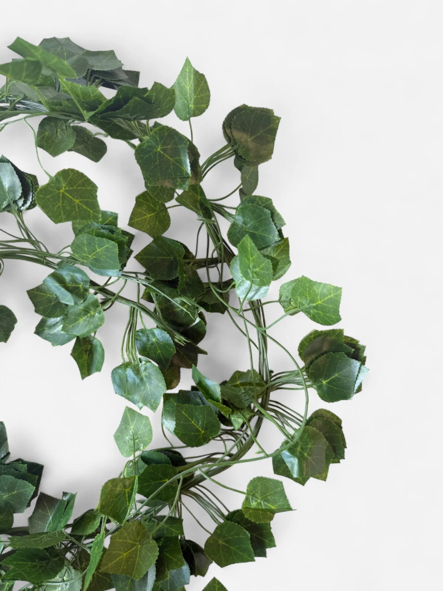 IMG_5948-Photoroom.jpg (Copy)