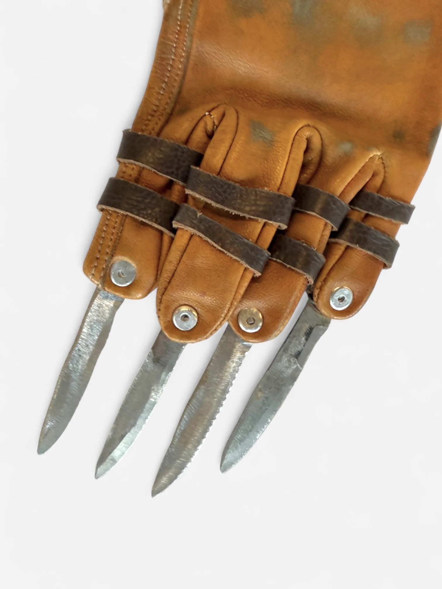 IMG_5857-Photoroom.jpg (Copy)