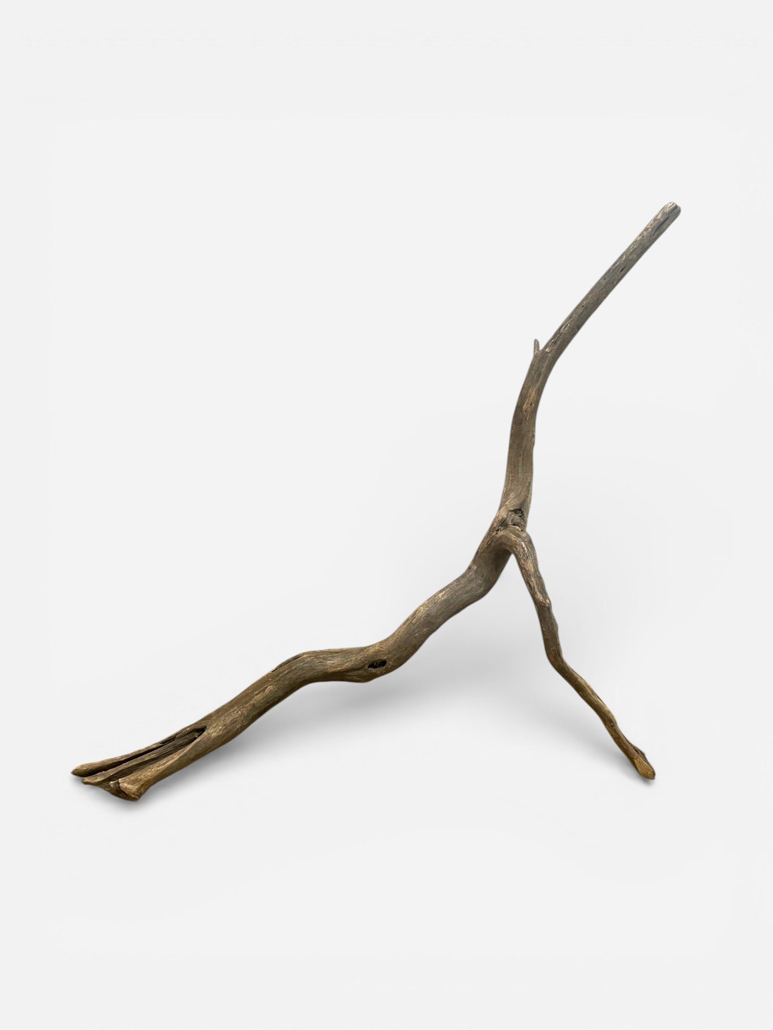 IMG_2620-Photoroom.jpg (Copy)