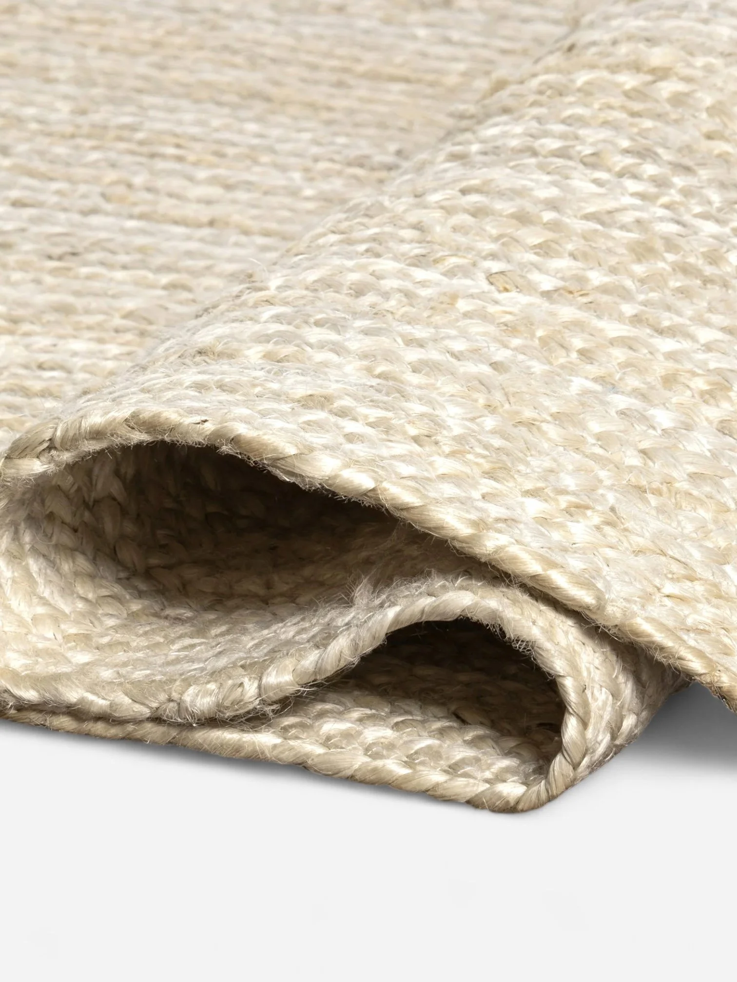 581091e8-5fac-4f1b-8d6a-70fcad5808ea.d852d8311463c2dd6b8f78013c124152.jpeg-Photoroom.jpg (Copy)