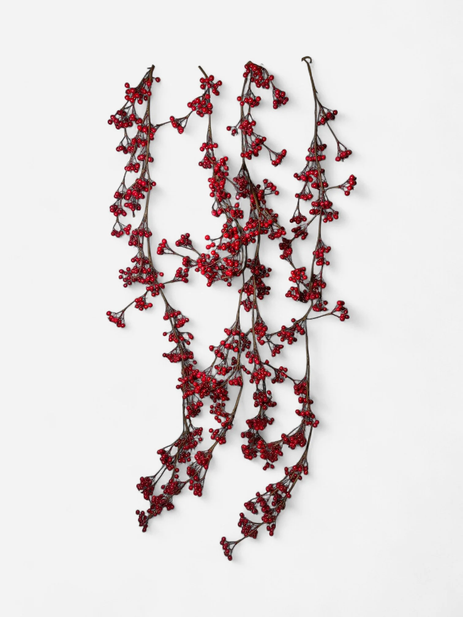 IMG_1075-Photoroom.jpg (Copy)