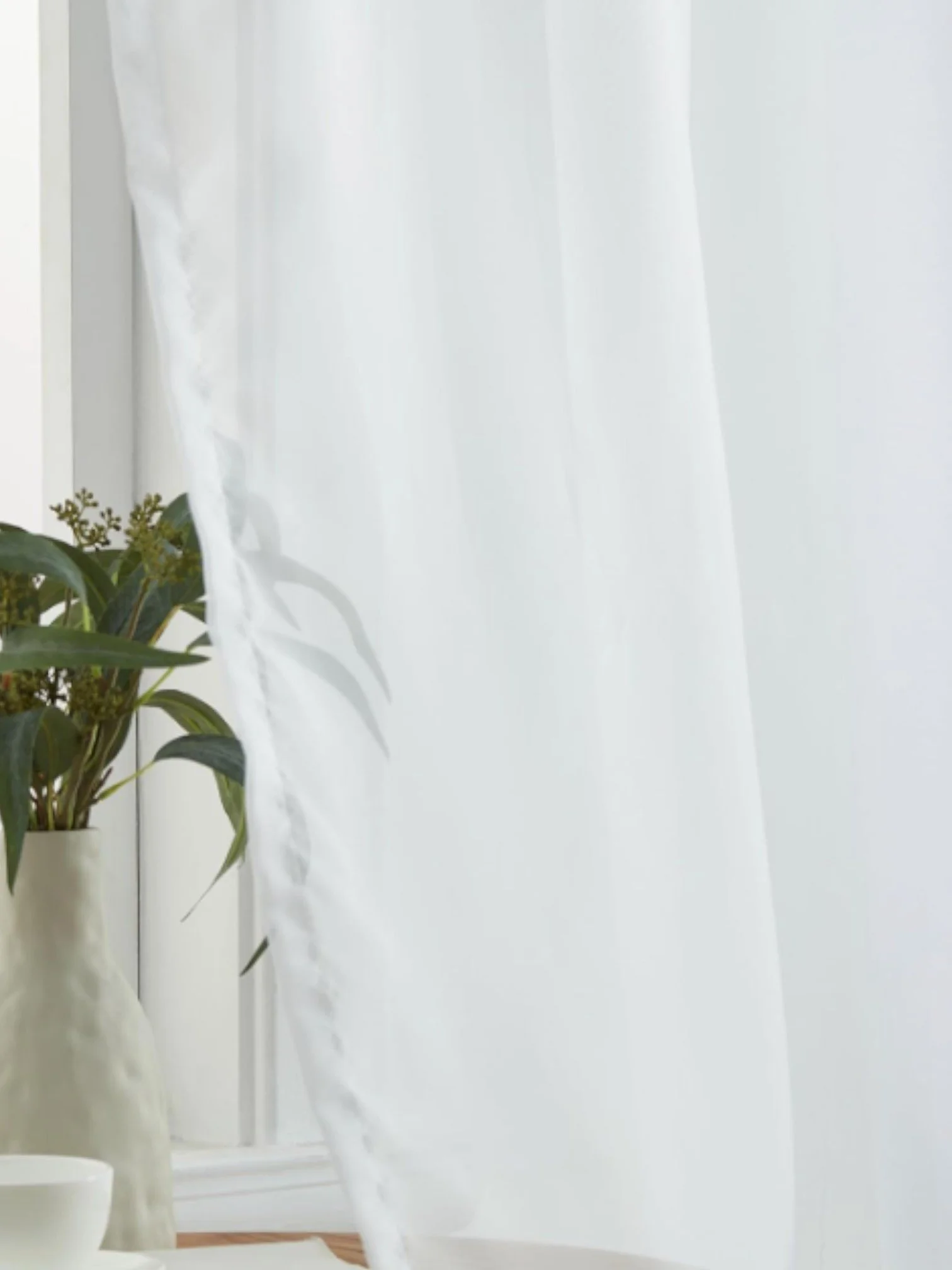 Screenshot 2026-03-03 at 5.09.48 PM-Photoroom.jpg (Copy) (Copy) (Copy) (Copy)