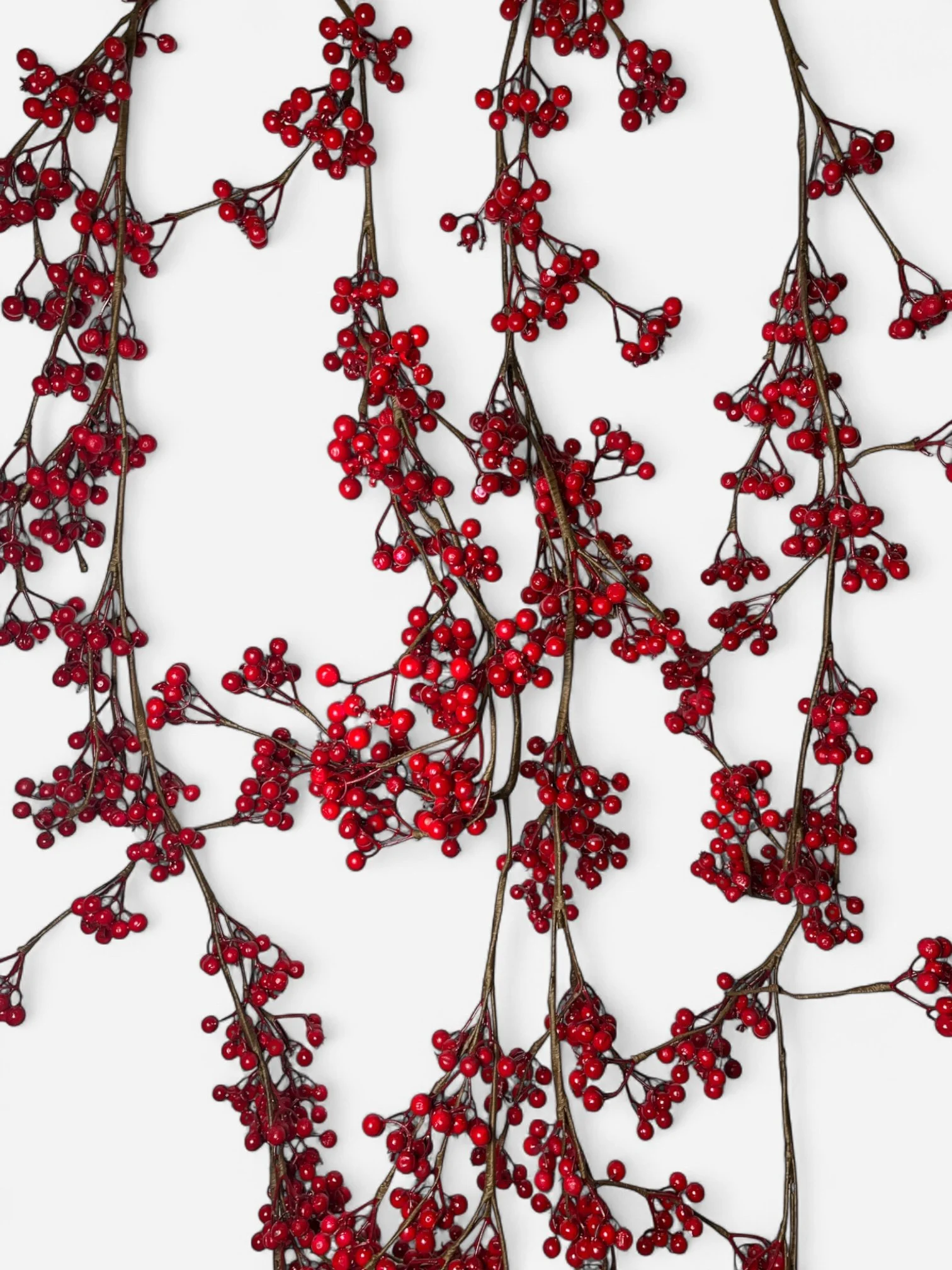 IMG_1077-Photoroom.jpg (Copy)