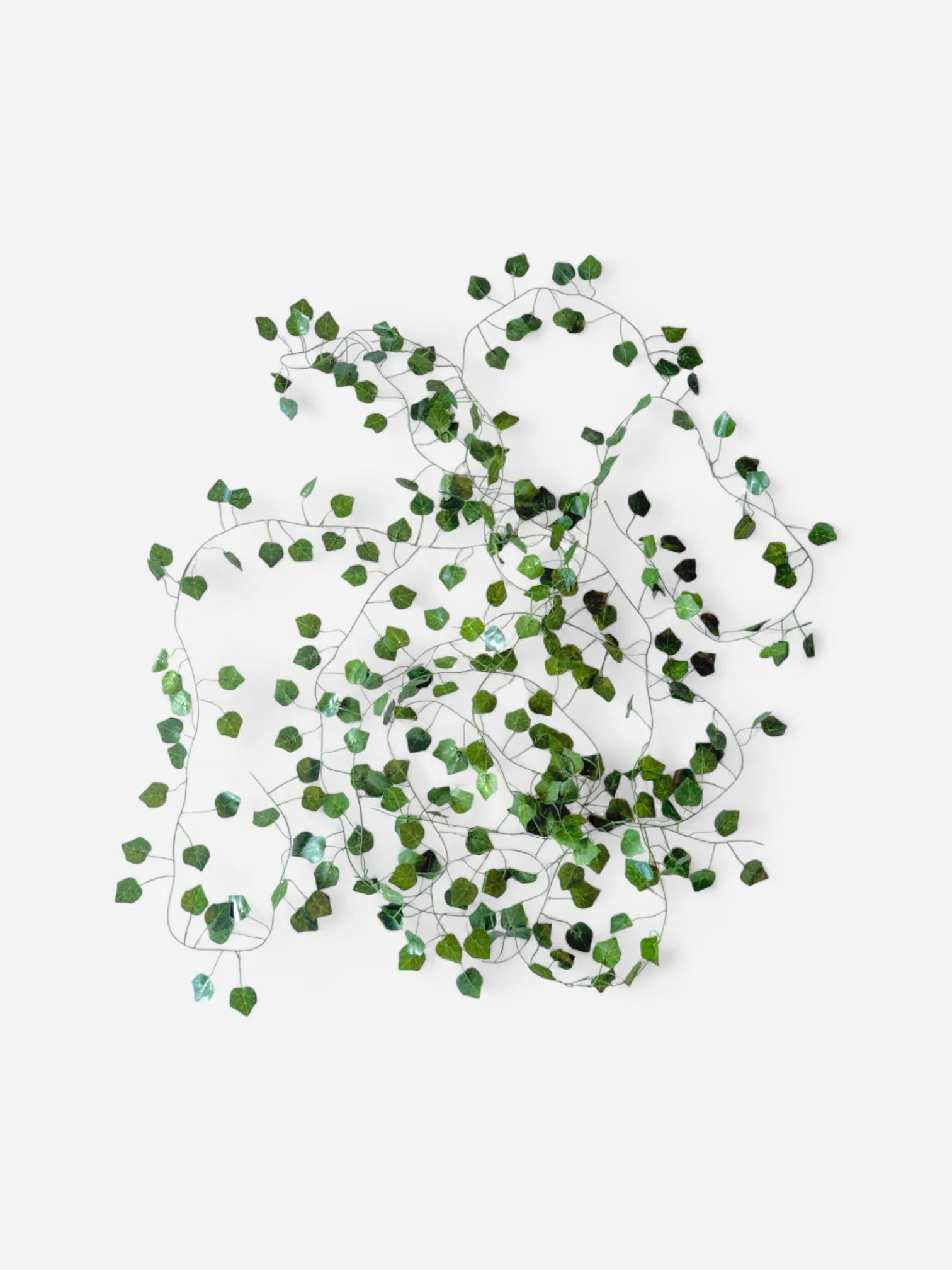 IMG_5956-Photoroom.jpg (Copy)