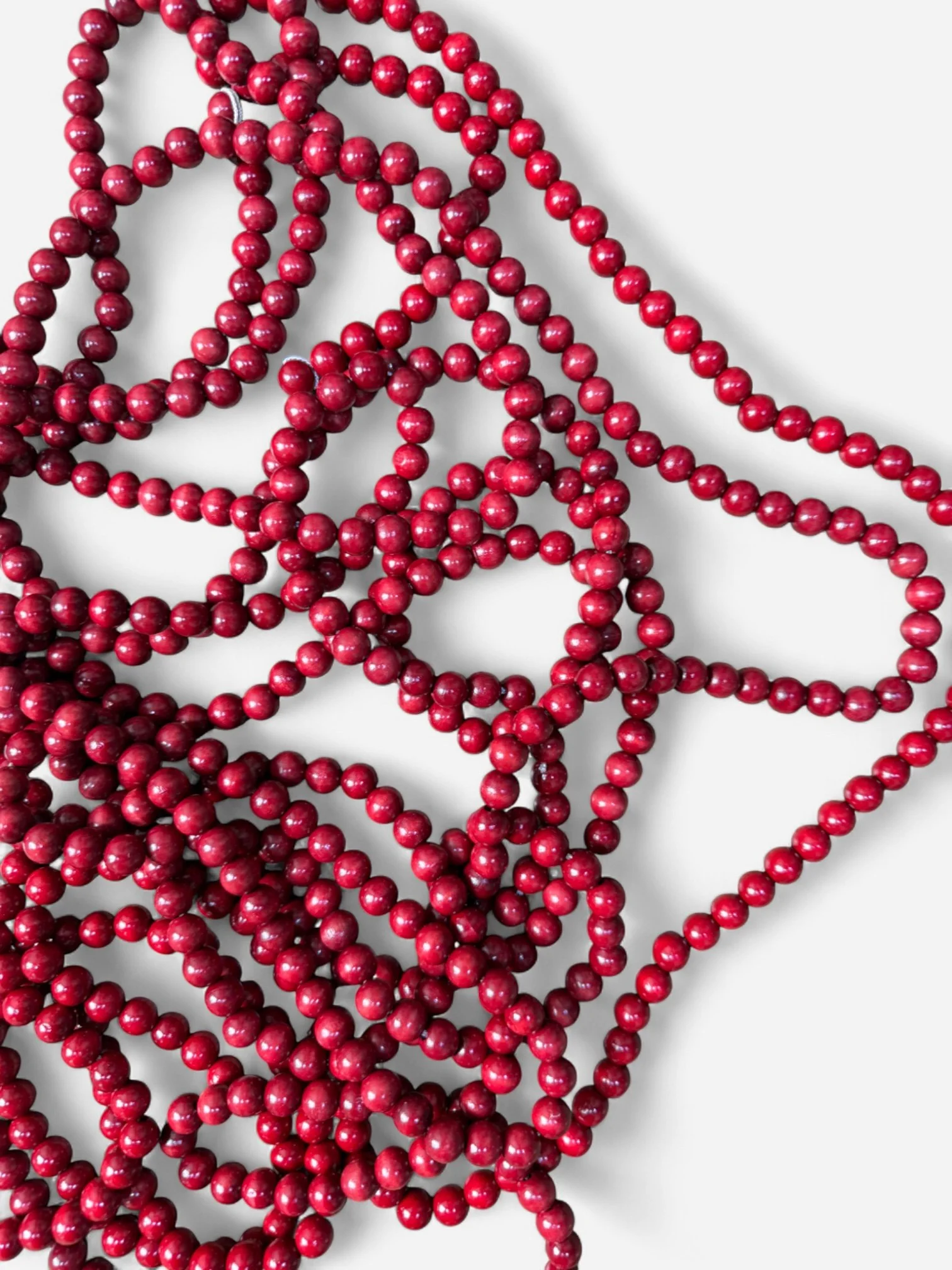 IMG_9964-Photoroom.jpg (Copy)