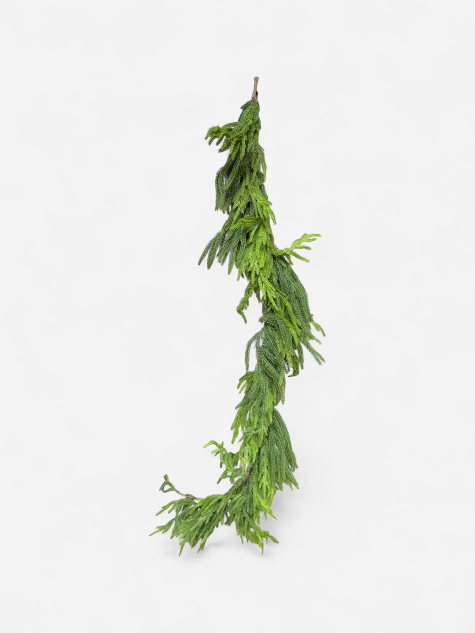 IMG_9971-Photoroom.jpg (Copy)