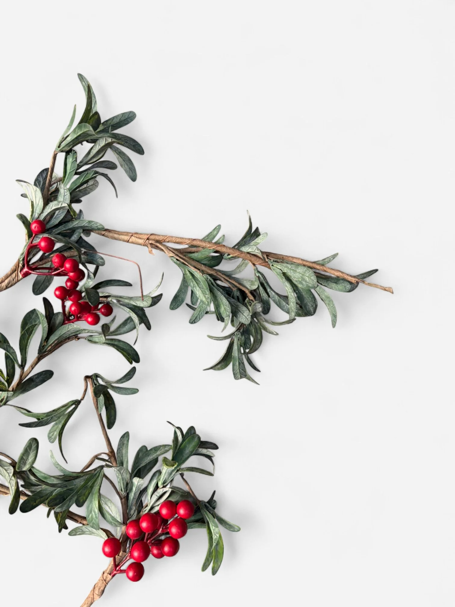 IMG_9967-Photoroom.jpg (Copy)