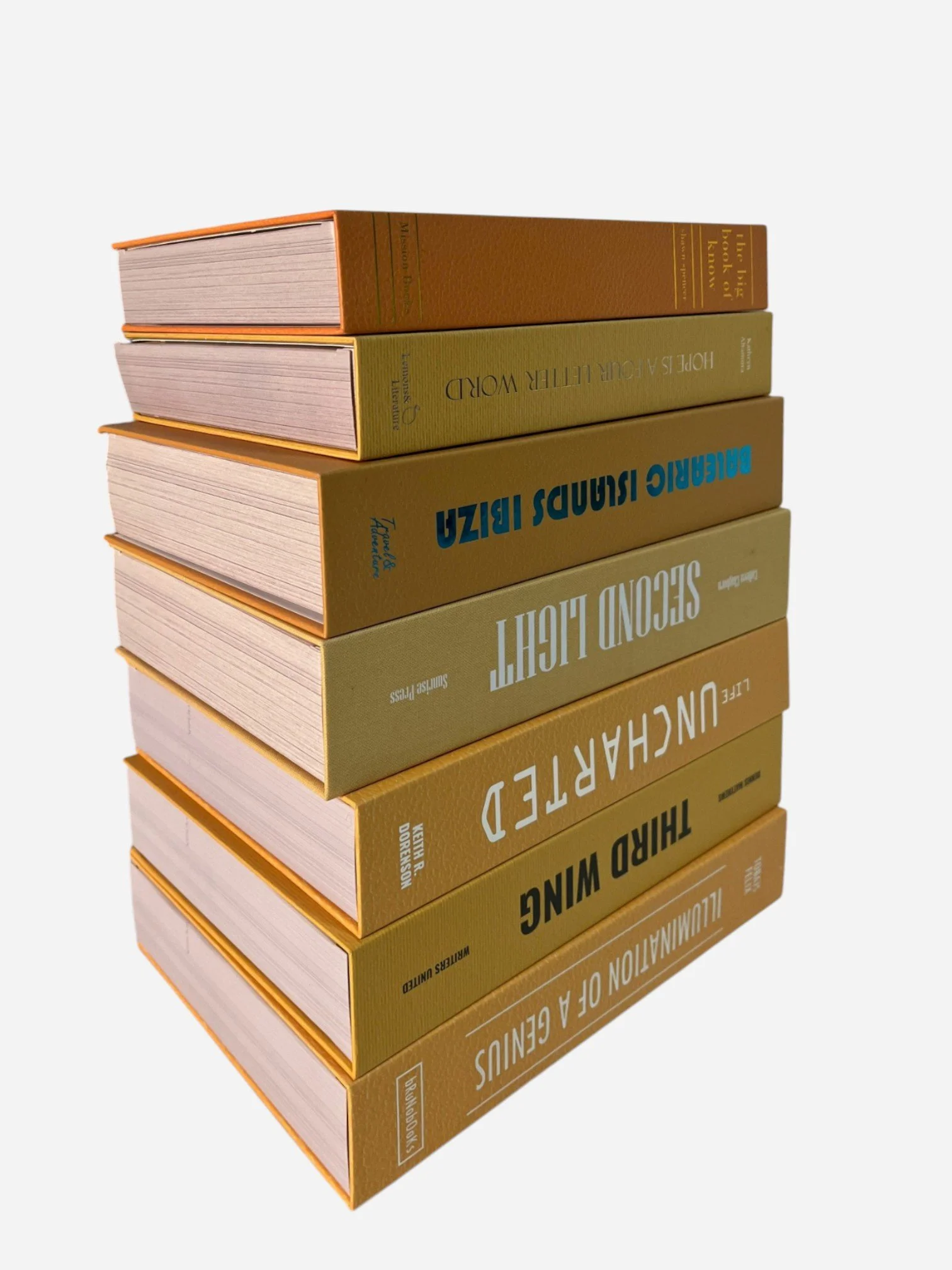 IMG_3854-Photoroom.jpg (Copy)