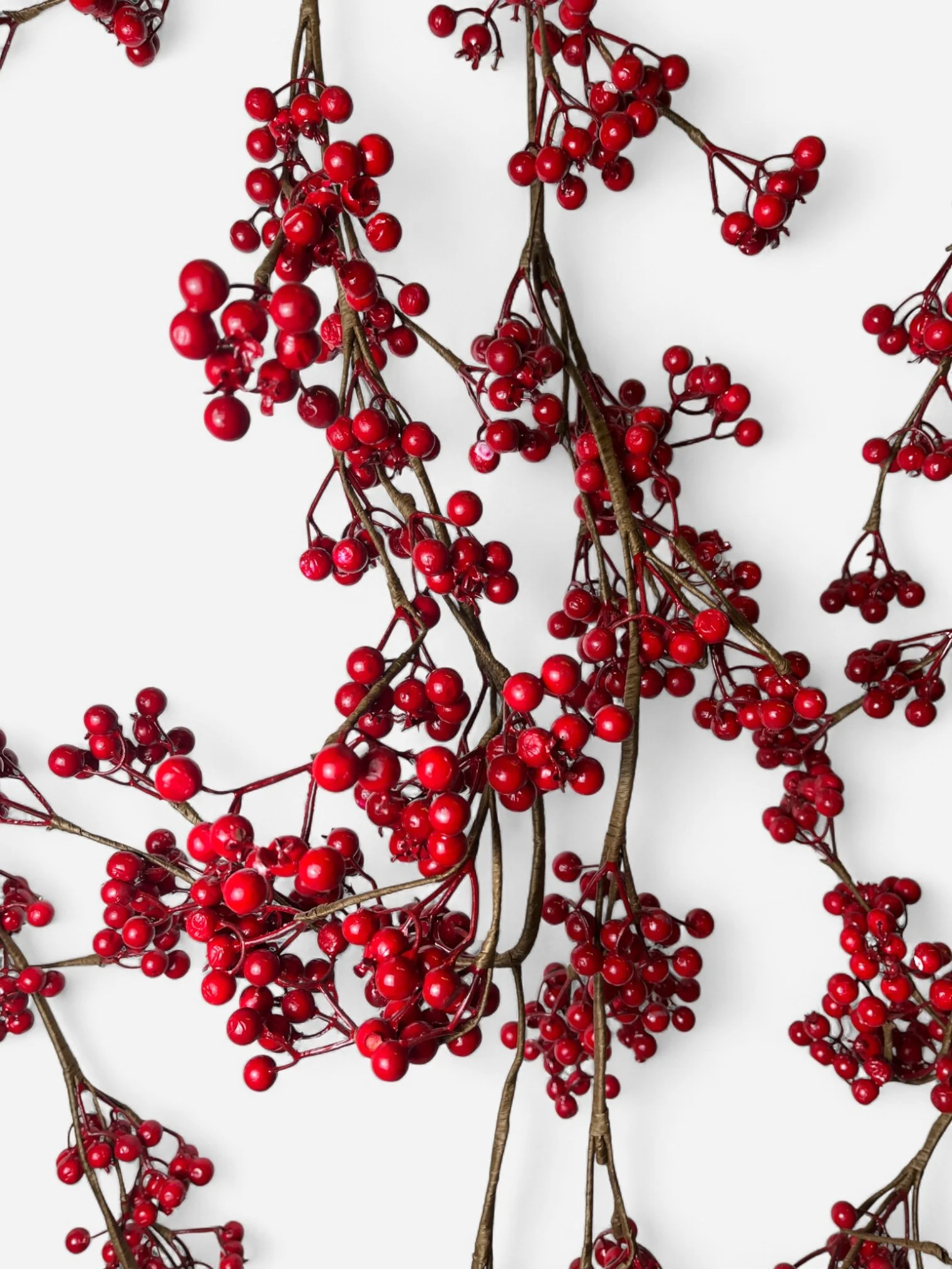 IMG_1076-Photoroom.jpg (Copy) (Copy)