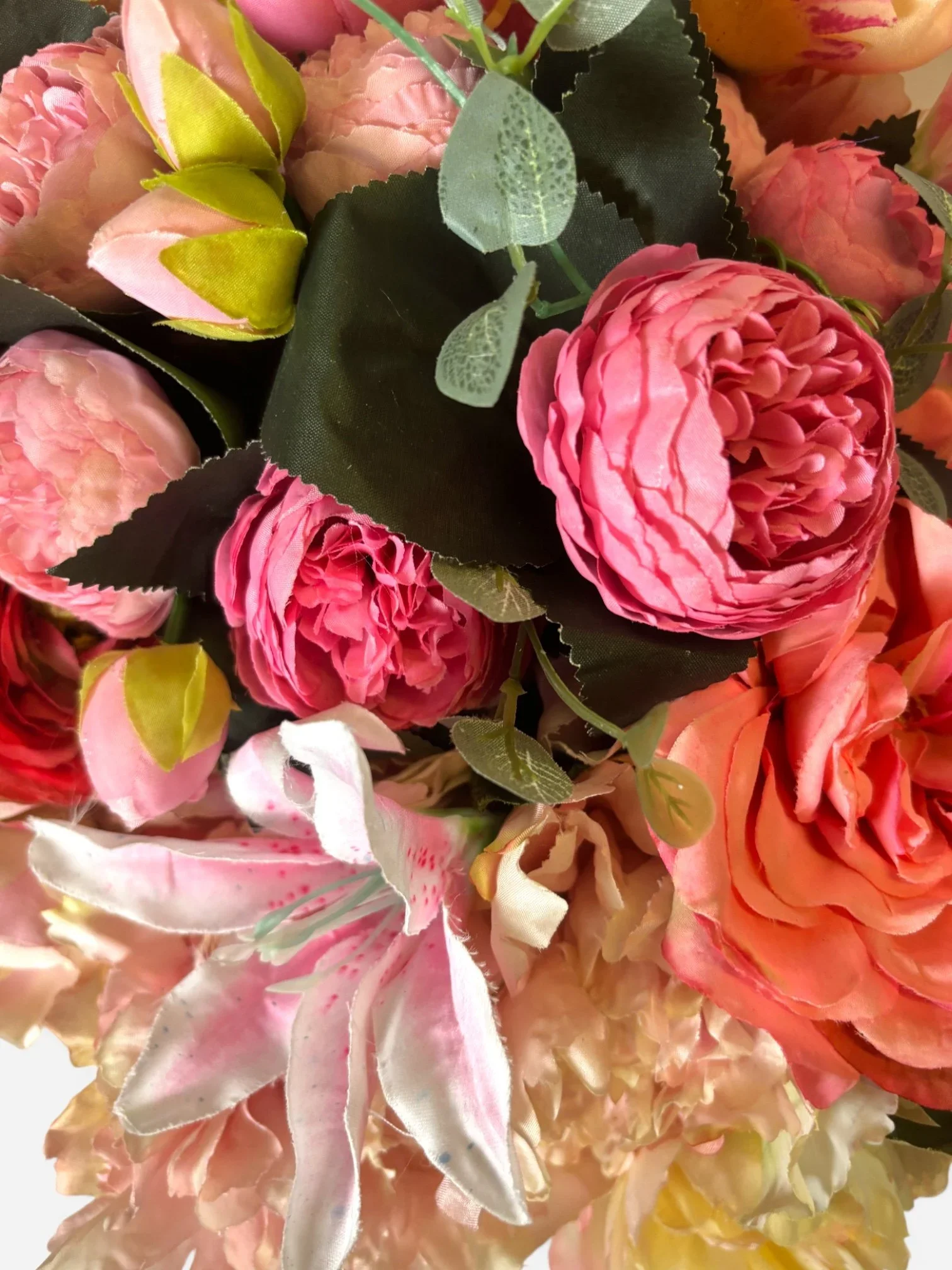 IMG_6843-Photoroom.jpg.webp (Copy)