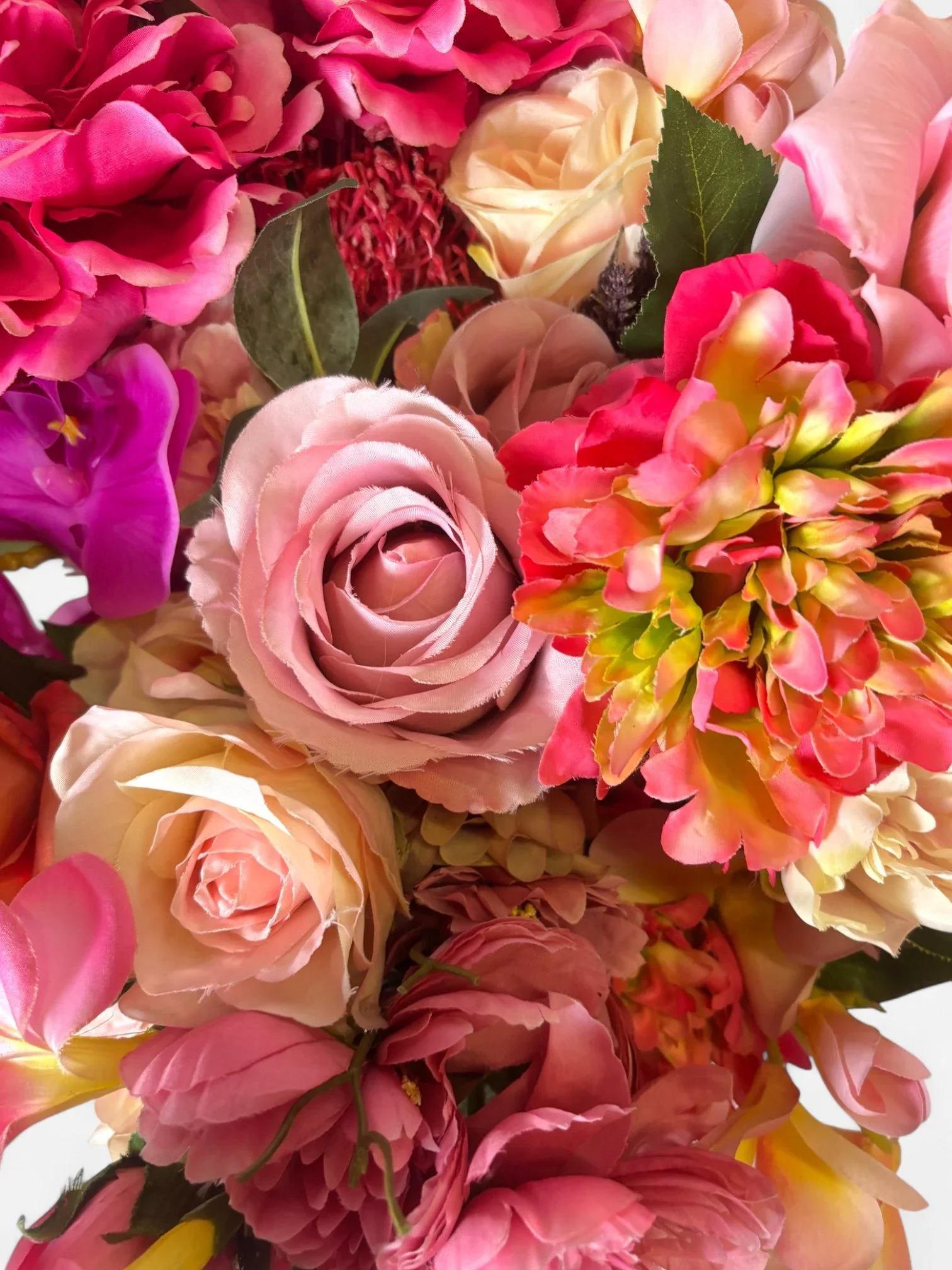 IMG_6803-Photoroom.jpg.webp (Copy)