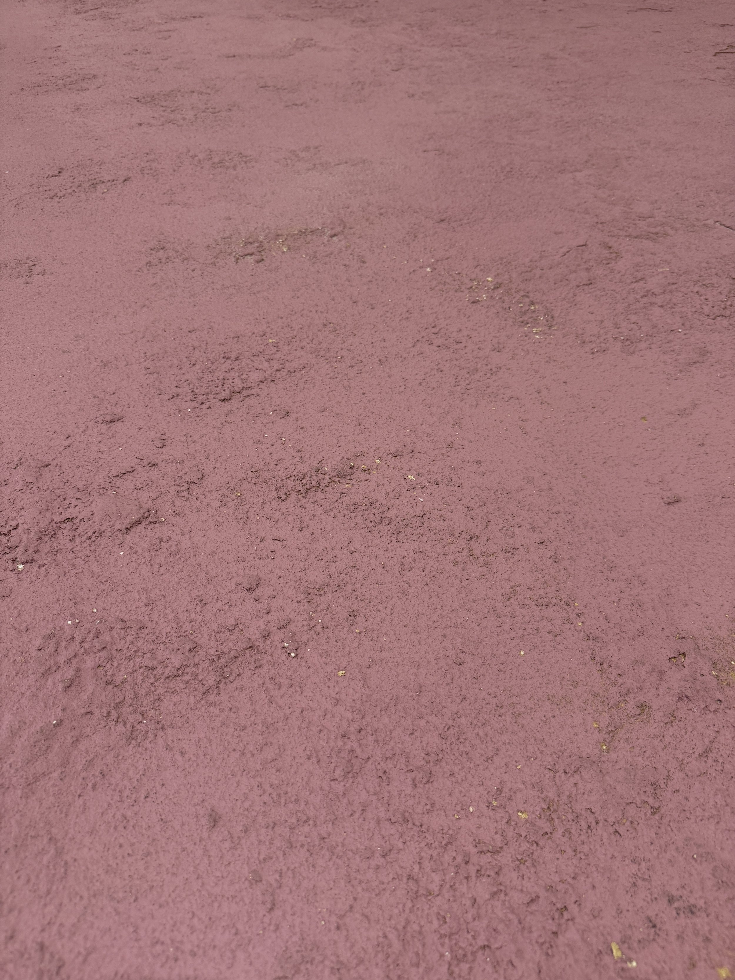 PAINTABLE TEXTURED SAND LINOLEUM FLOOR (12' x 20')