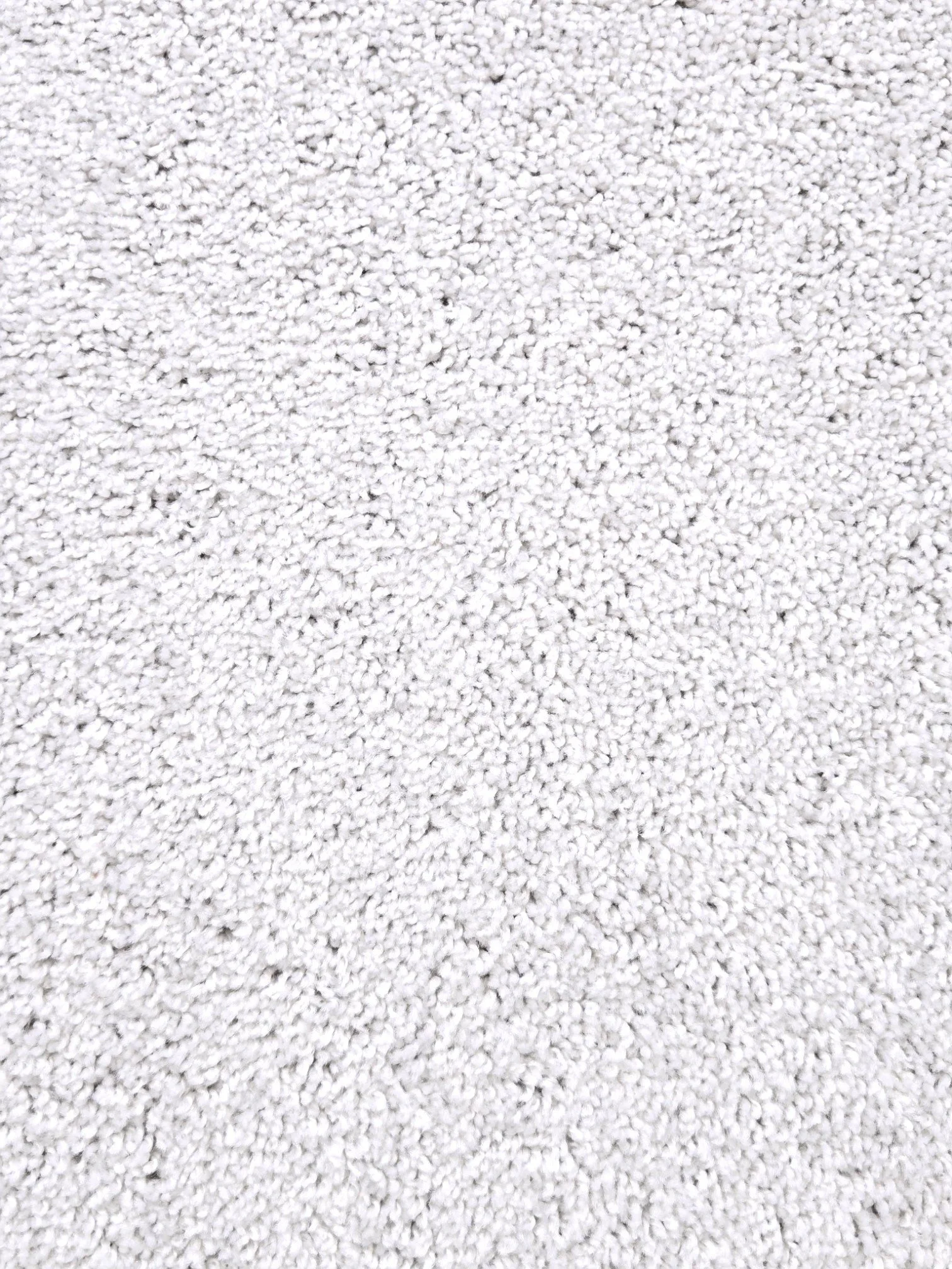 1000016426.jpg (Copy)