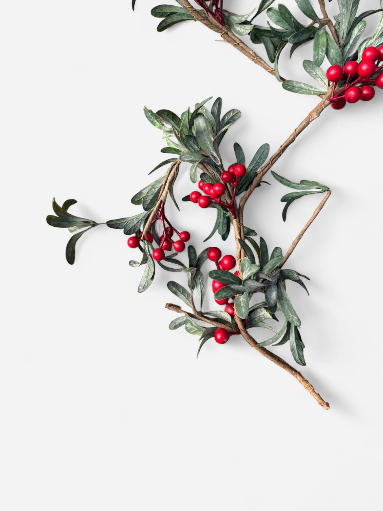 IMG_9968-Photoroom.jpg (Copy)