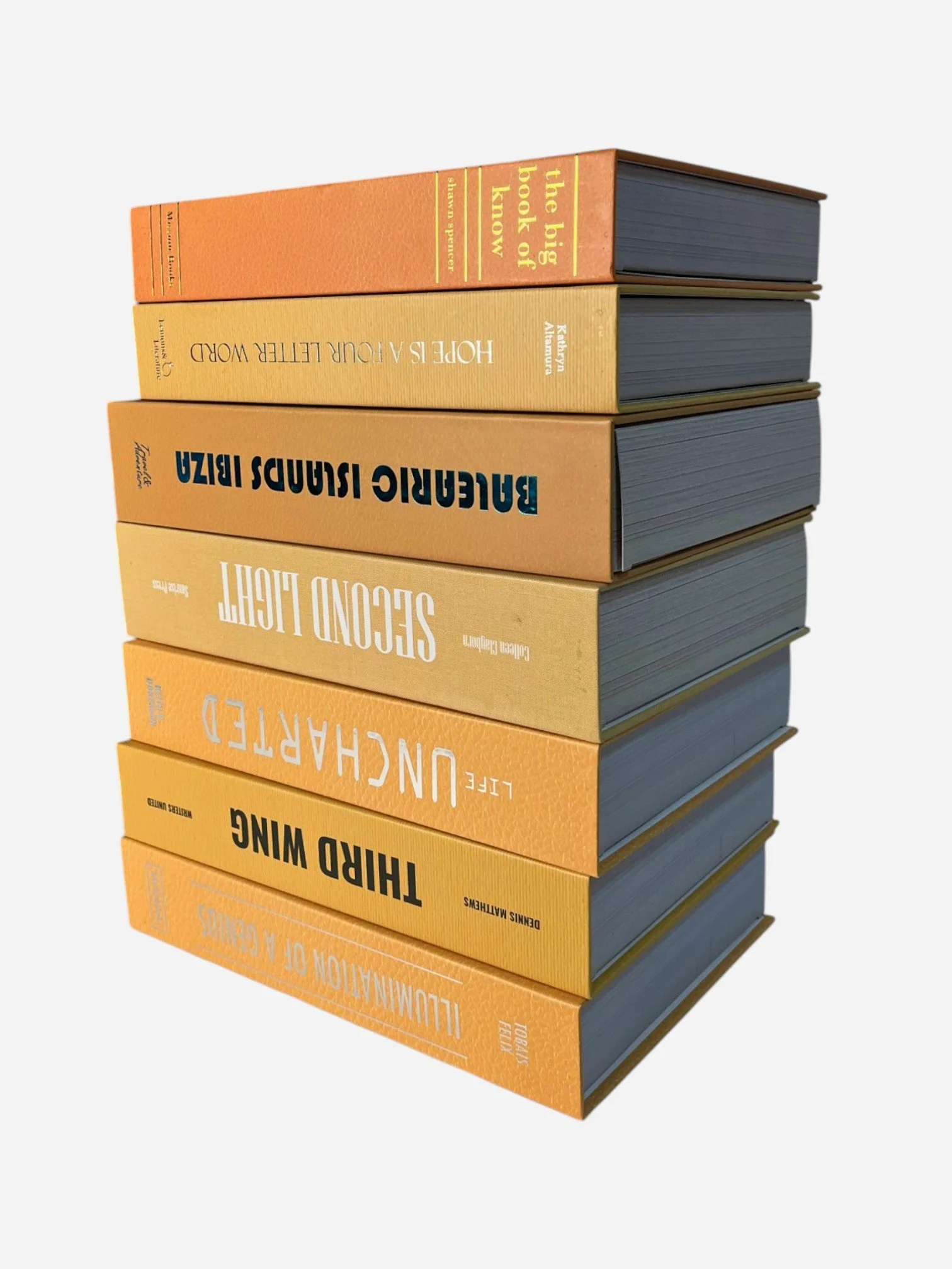 IMG_3852-Photoroom.jpg (Copy)