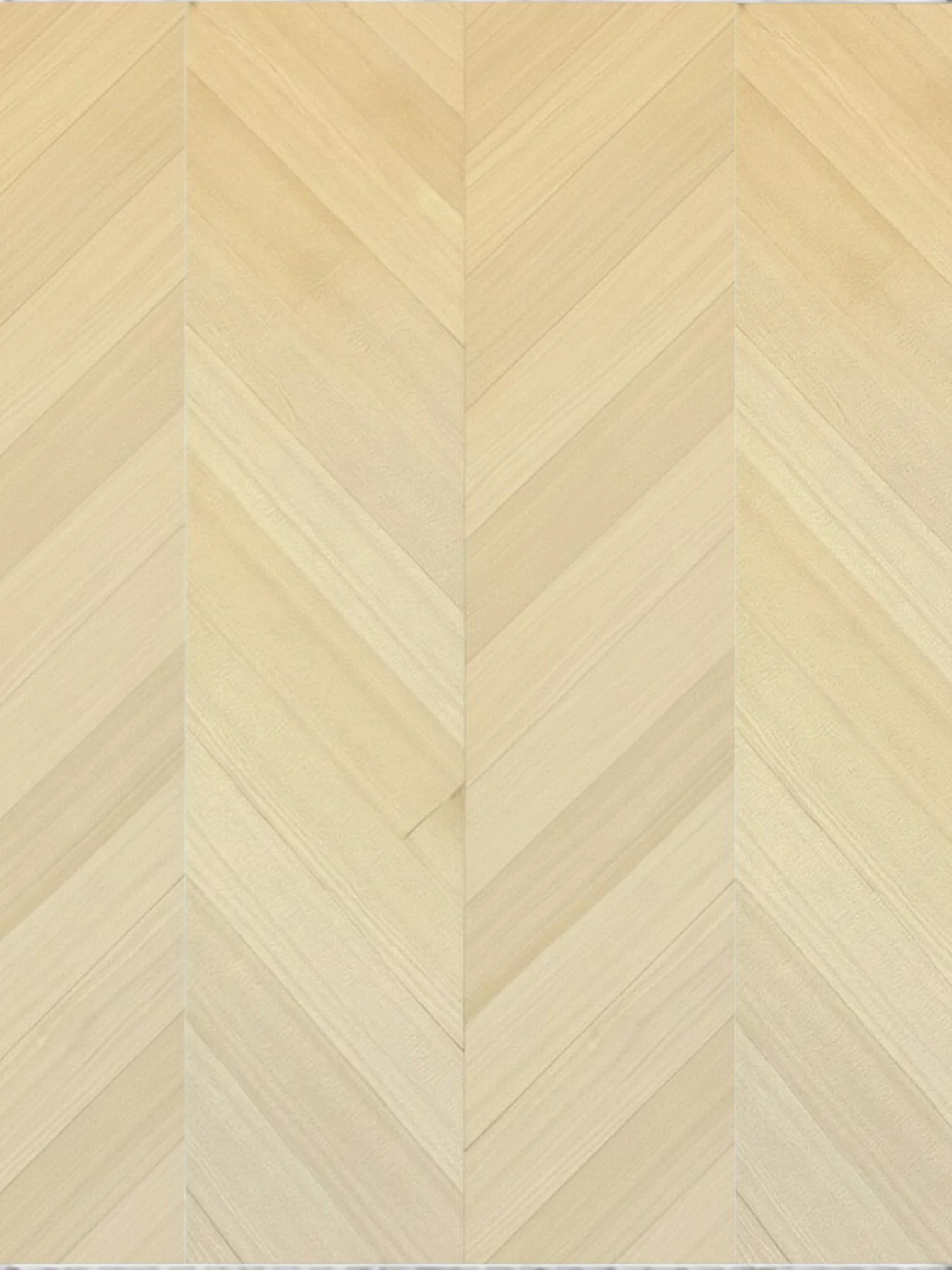 IMG_7263-Photoroom-Photoroom-Photoroom 2.jpg (Copy)