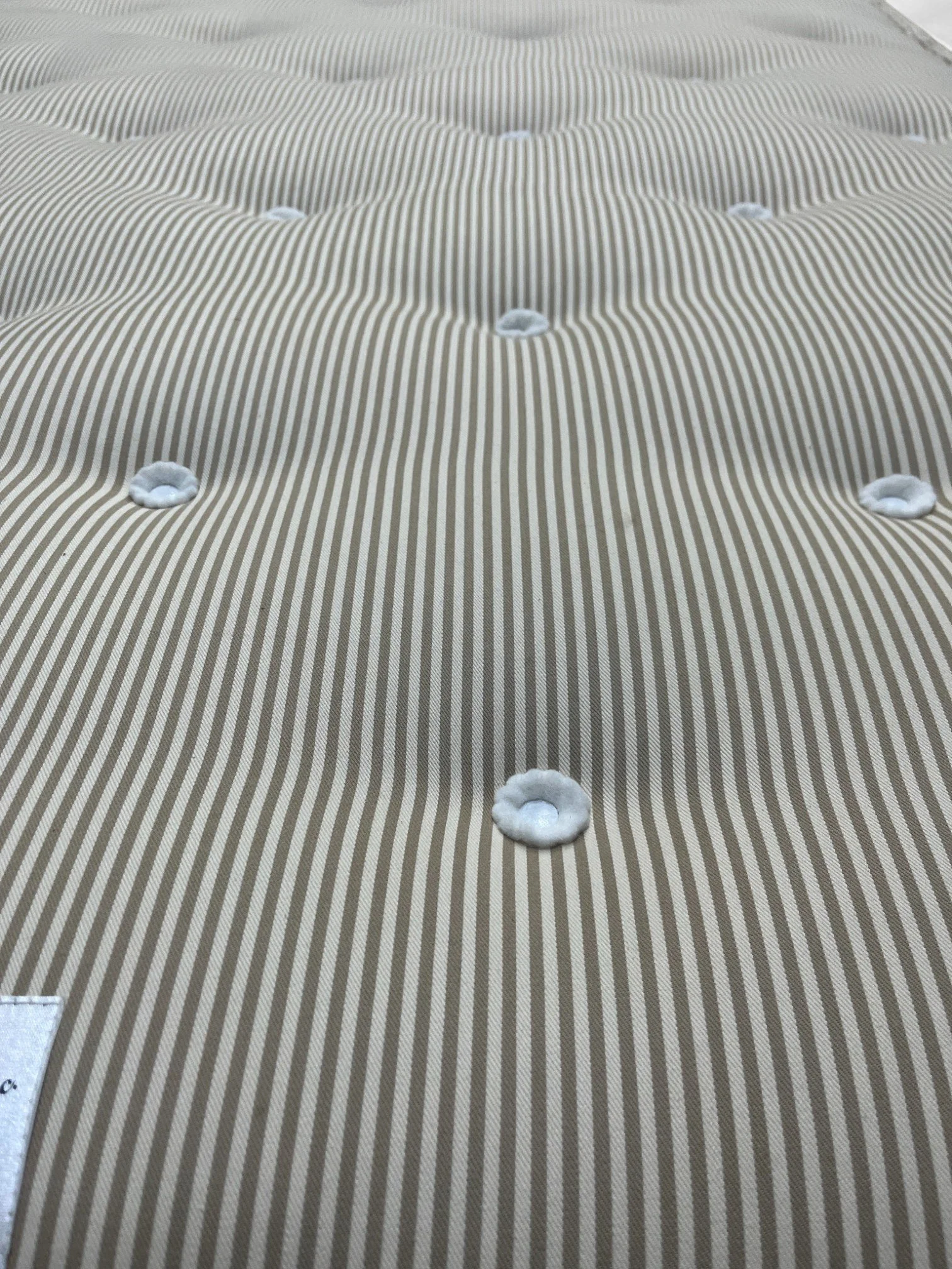 IMG_1461-Photoroom.jpg (Copy)