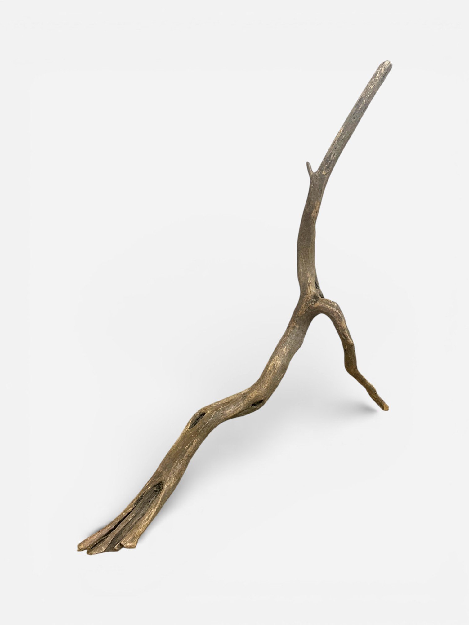 IMG_2621-Photoroom.jpg (Copy)