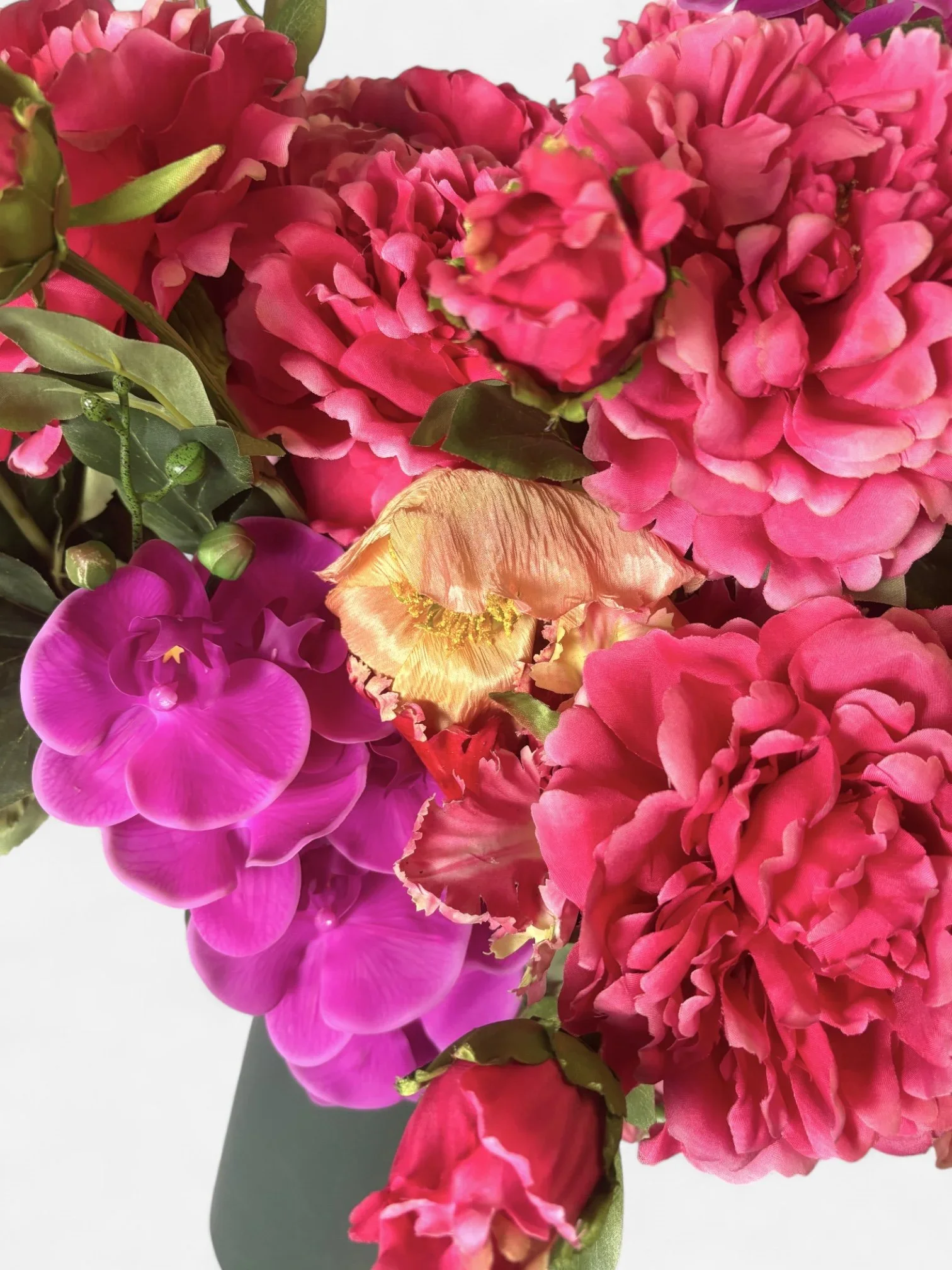 IMG_6811-Photoroom.jpg.webp (Copy)