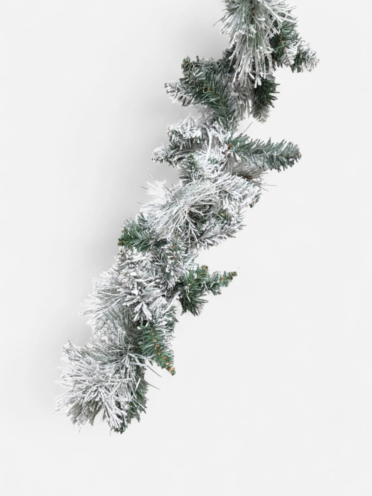 IMG_9979-Photoroom.jpg (Copy)