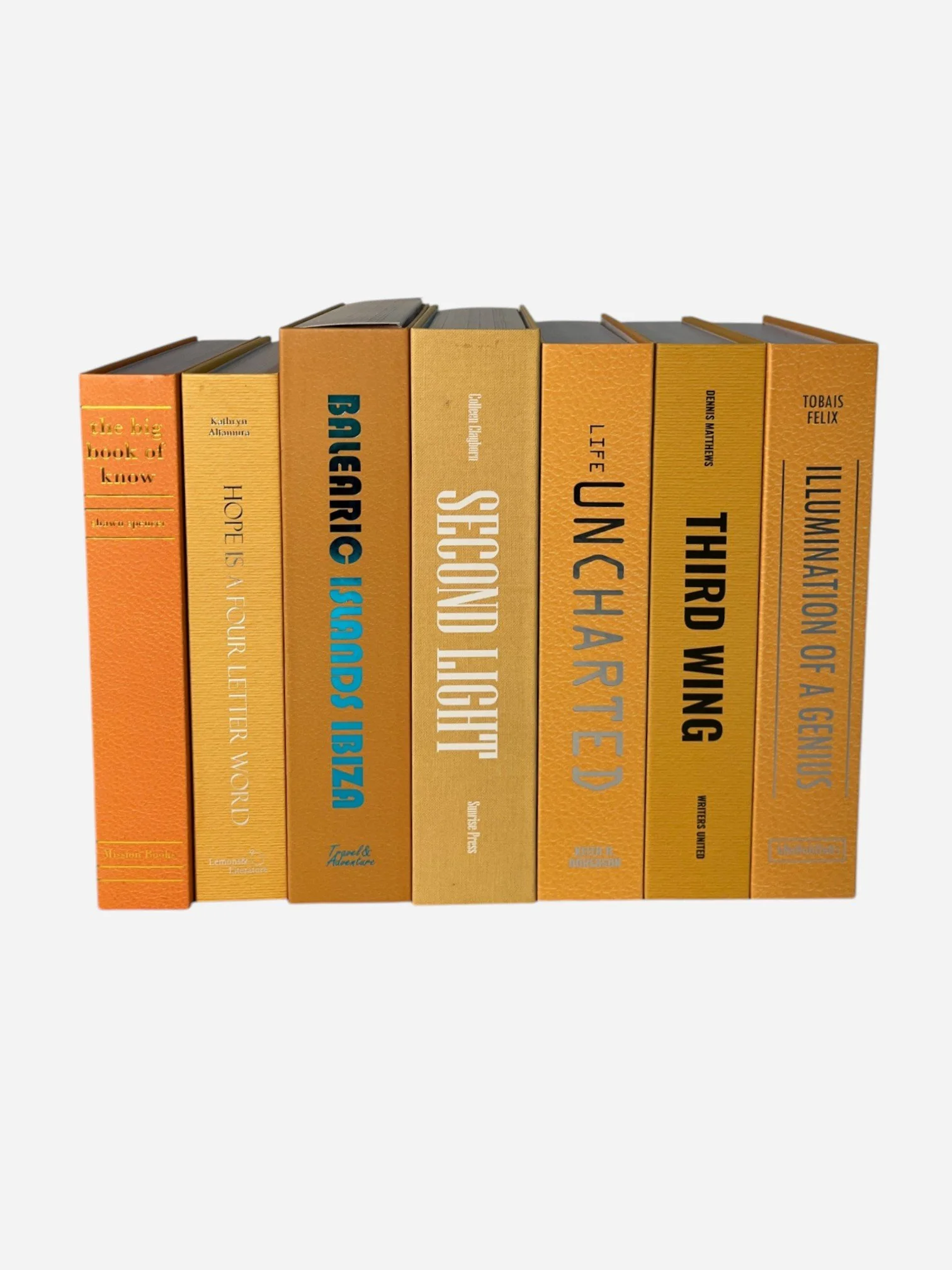 IMG_3856-Photoroom.jpg (Copy)