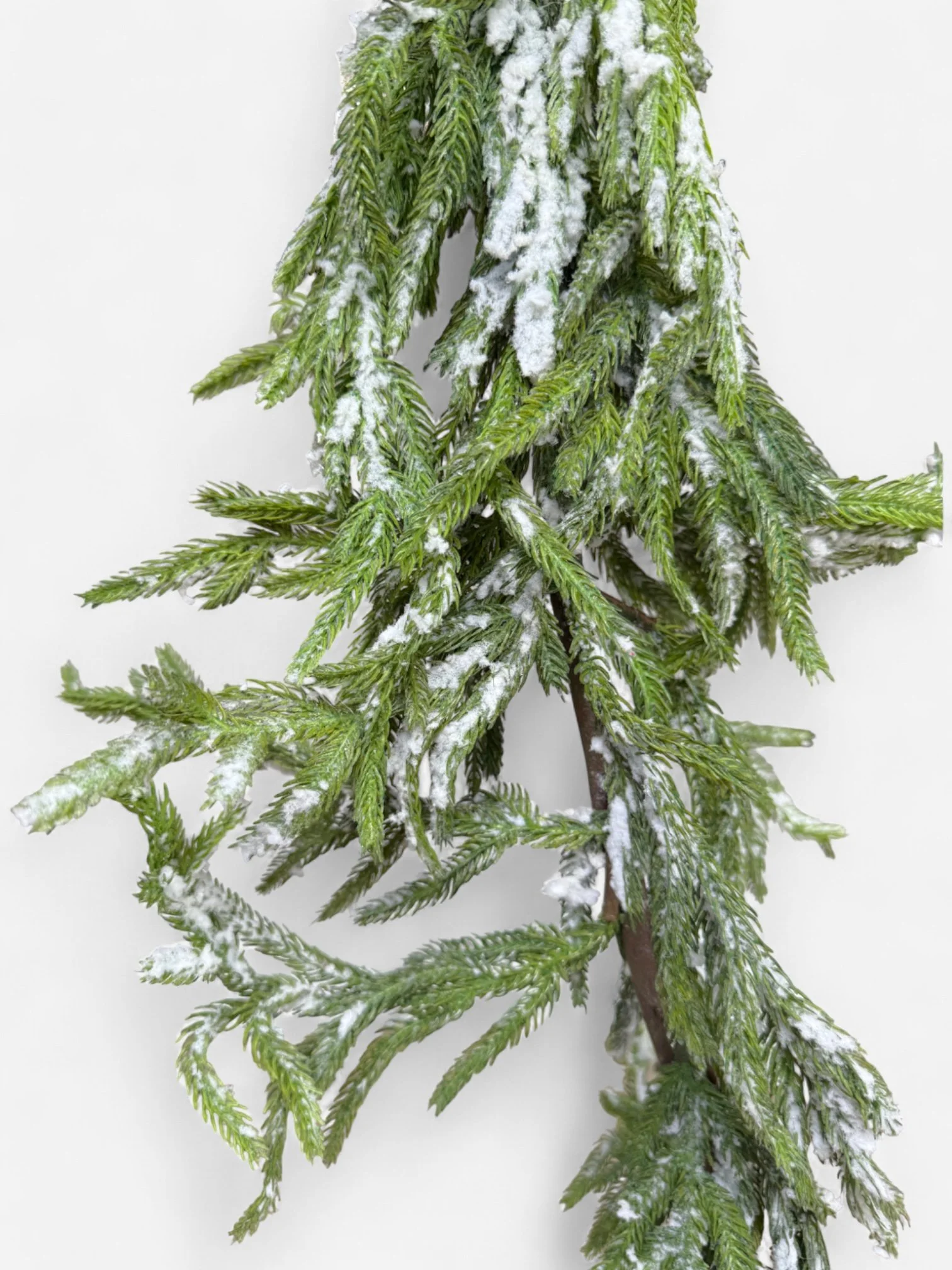 IMG_9975-Photoroom.jpg (Copy)