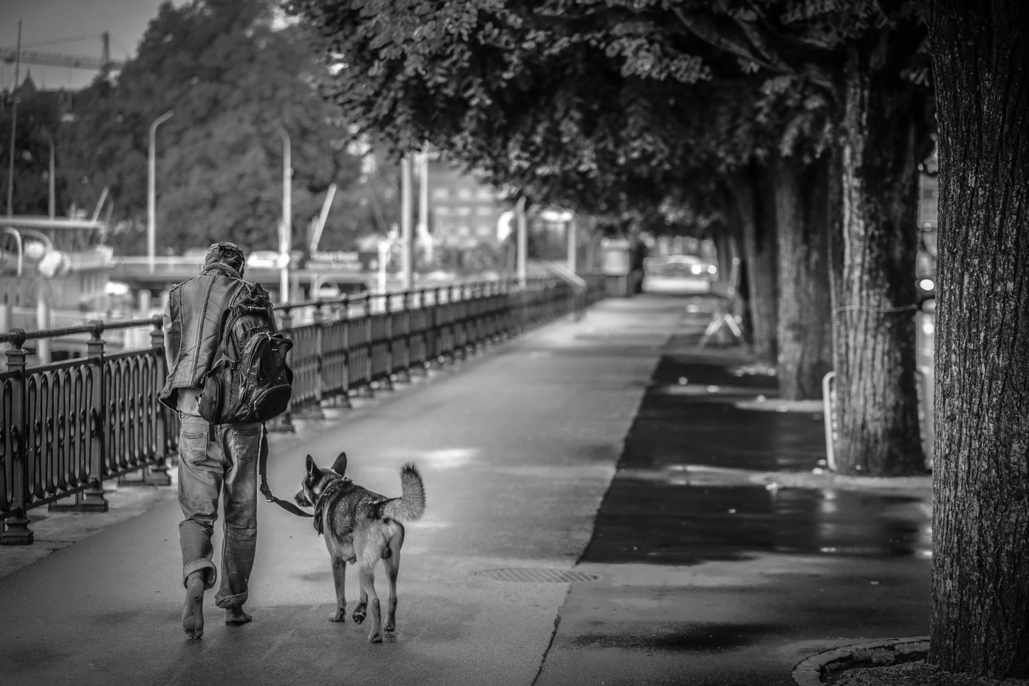 20140815-3V3C7601.jpg