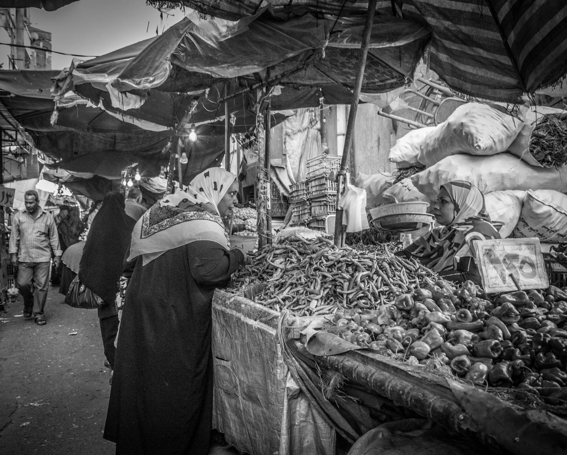20140913-3V3C3830.jpg