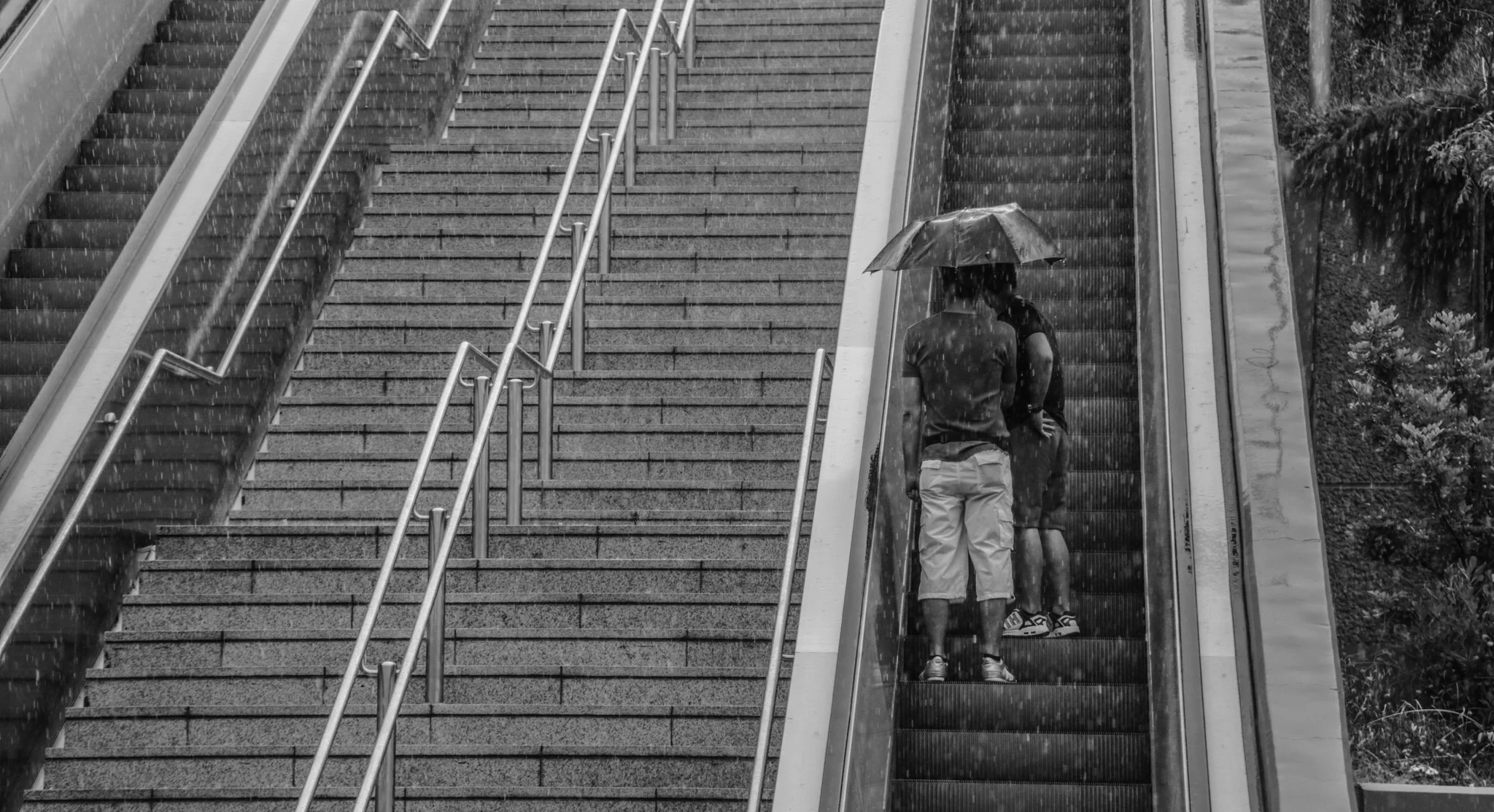 20140615-3V3C1485.jpg