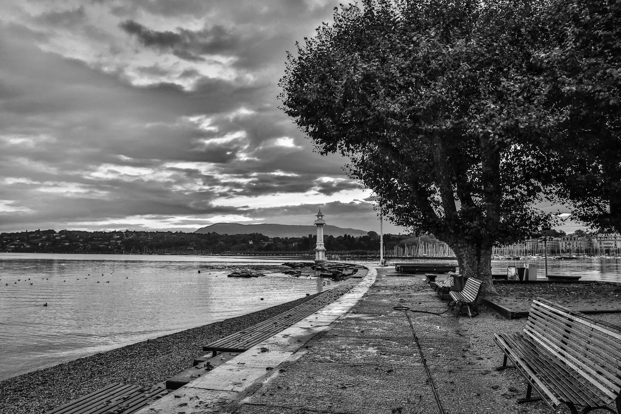 20131021-3V3C5992.jpg