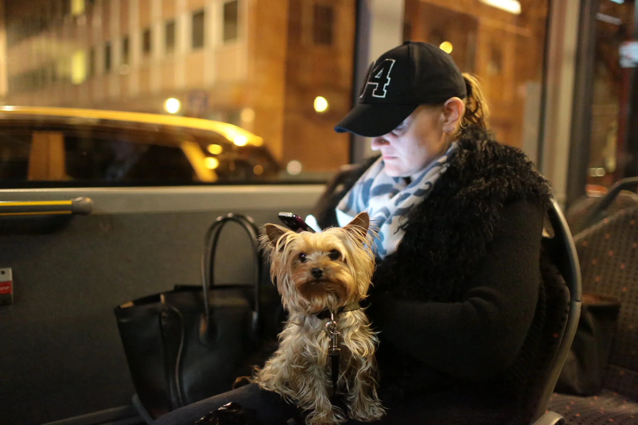 20140324-3V3C5415.jpg