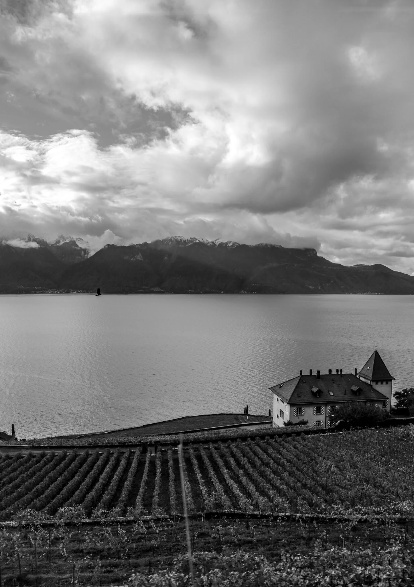 20131109-3V3C8056.jpg