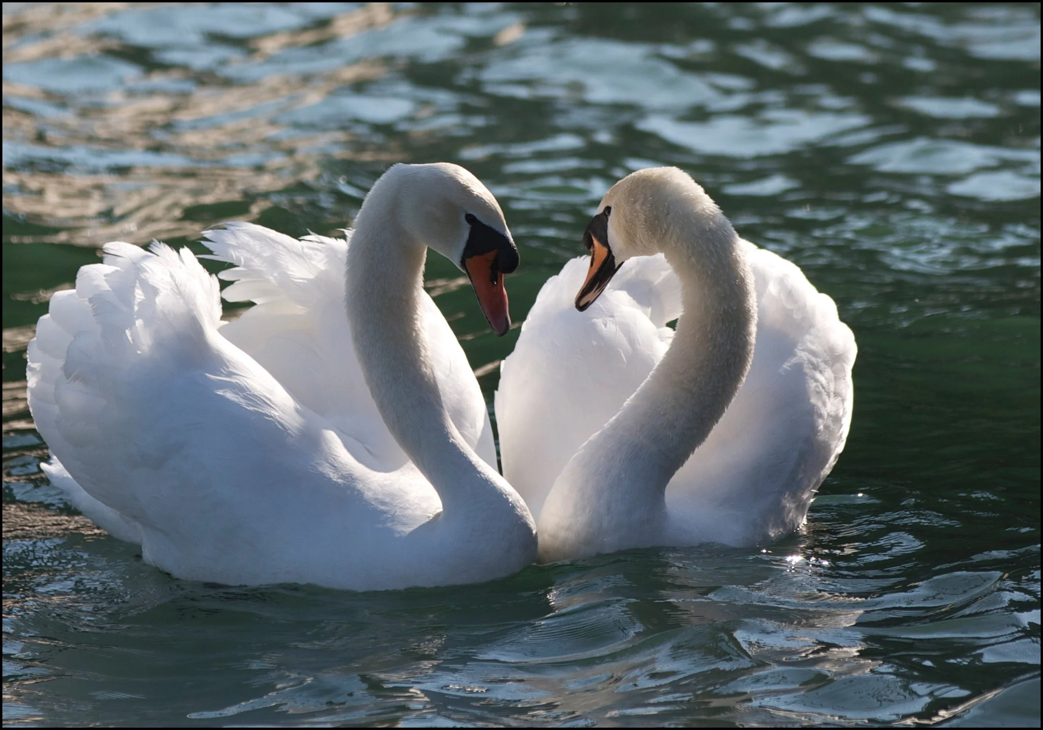 20110415-BorderMaker-50.jpg