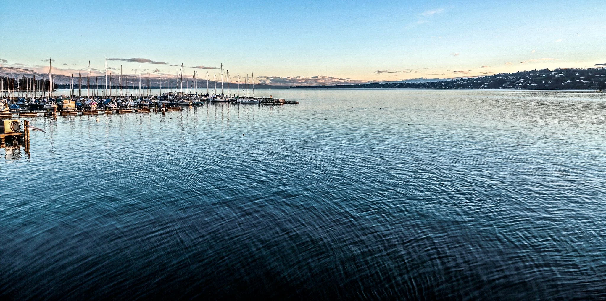 20140212-3V3C1781.jpg