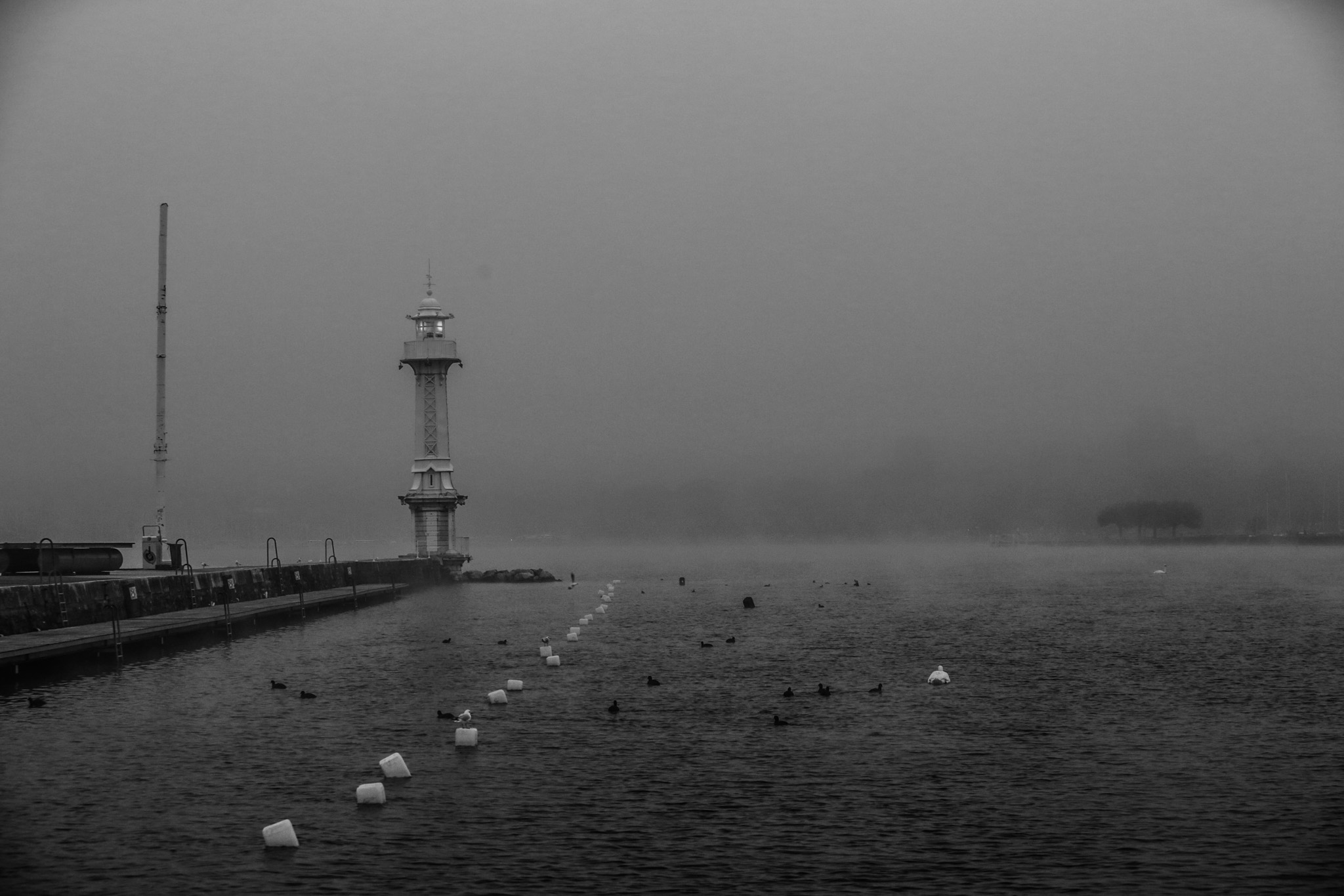 20141122-3V3C9277-2.jpg
