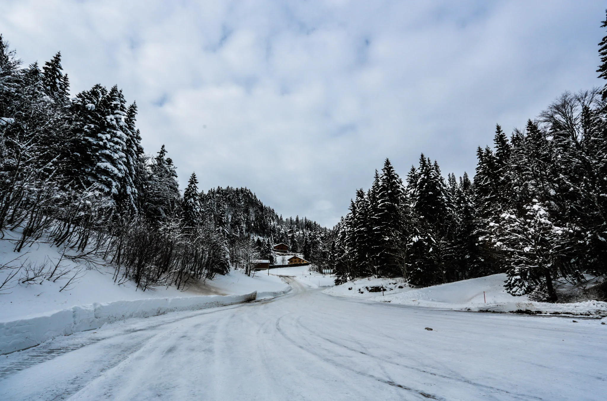 20150125-3V3C0766.jpg