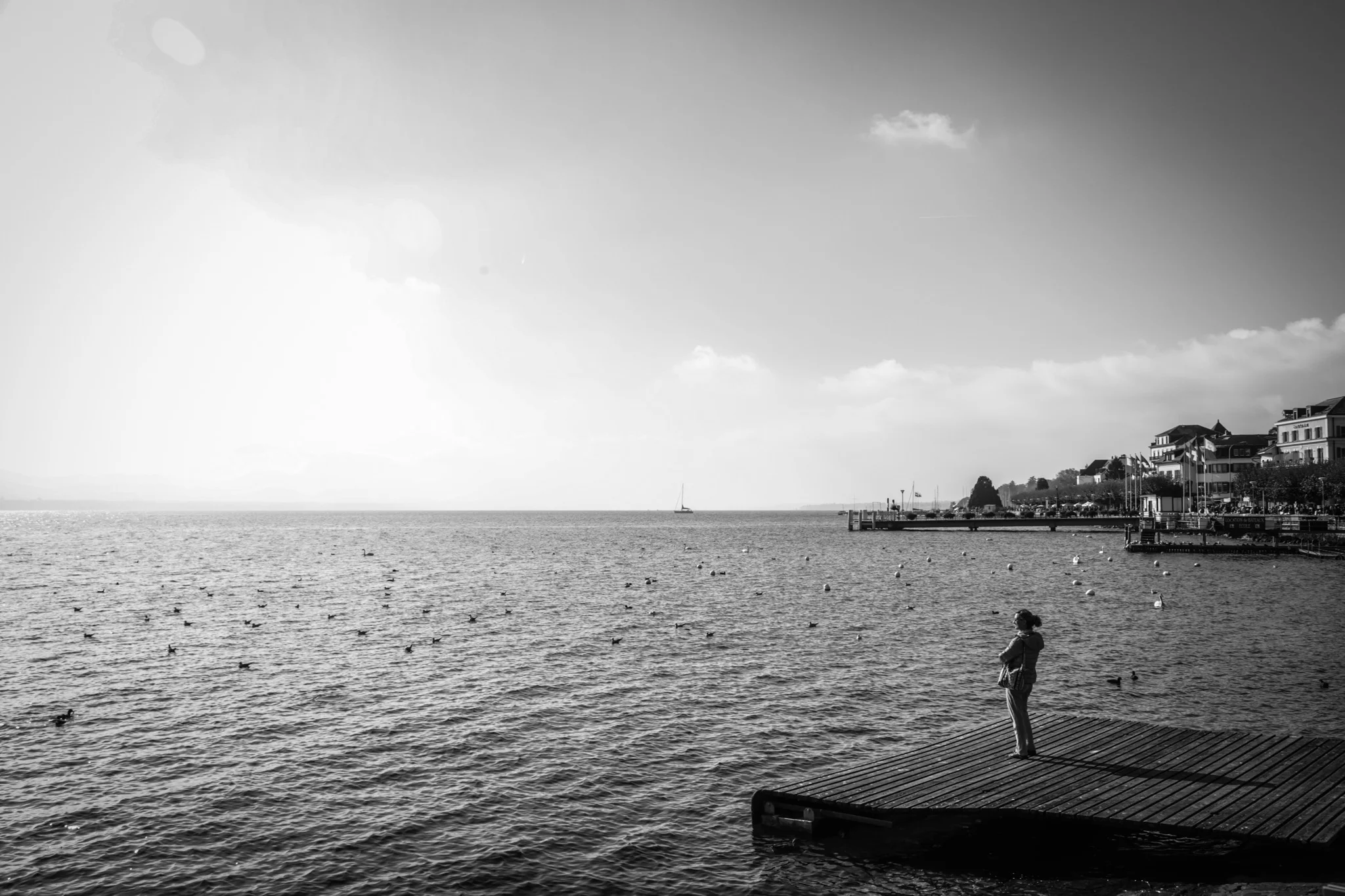 20141026-3V3C8336.jpg