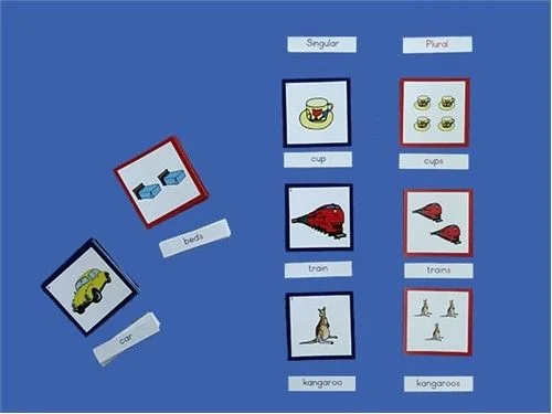 10 - Singular and Plural.jpg