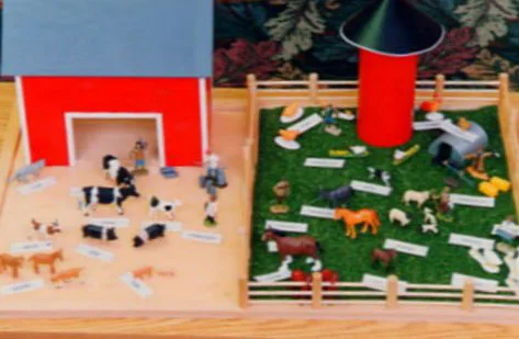 14 - Function of Noun and Article.jpg