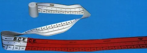 GRADE 3. - Time Line Ribbon.jpg
