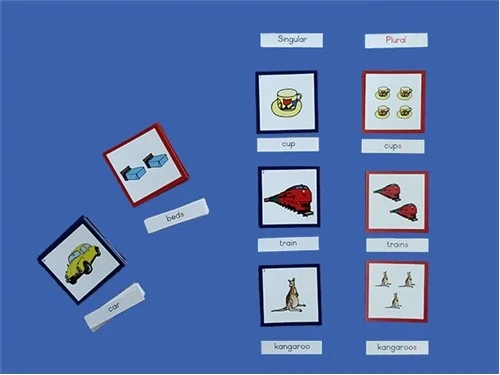 Singular and Plural Exercises.jpg