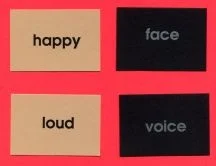 Logical Agreement between Nound and Adj.jpg