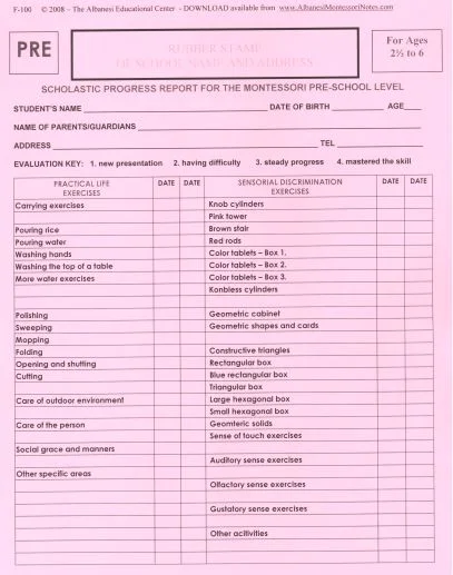 F-100 PRE Report.jpg