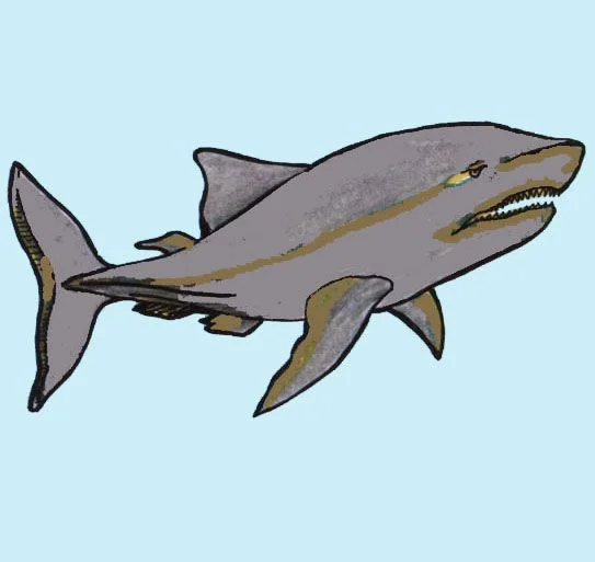 1 - Fish for Self-Test.jpg