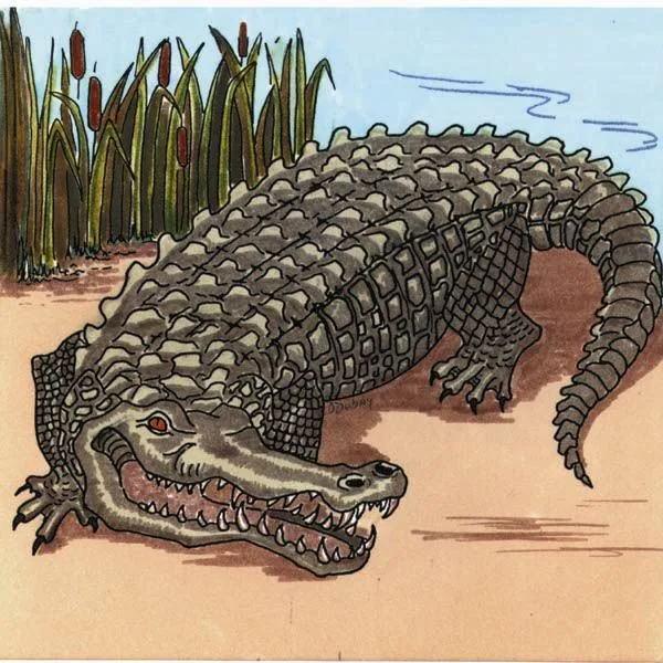 3 - Crocodile for Self-Test.jpg