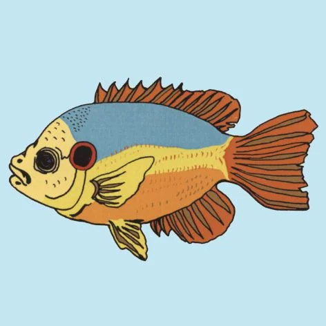 1 - Fish for Control.jpg