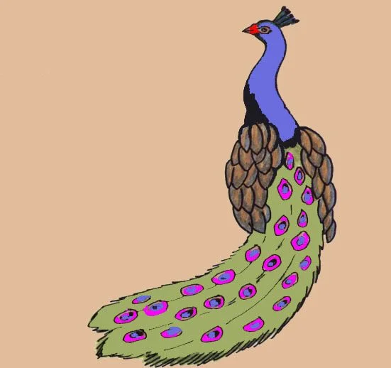 4 - Peacock for Control.jpg