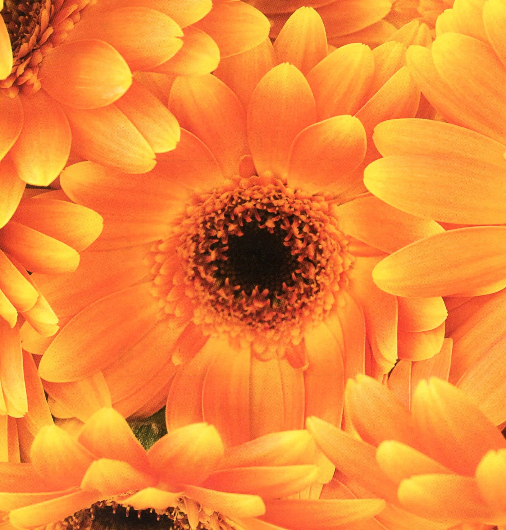 ARTICOLI PRIMARIA - 010.jpg